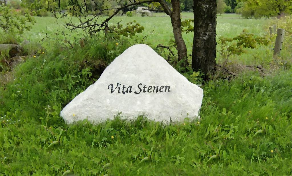 Vita Stenen Rum Och Restaurang Bed & Breakfast Sankt Olof Ngoại thất bức ảnh